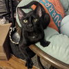 Max - Photo 3