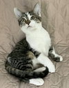 Valerie - Photo 2
