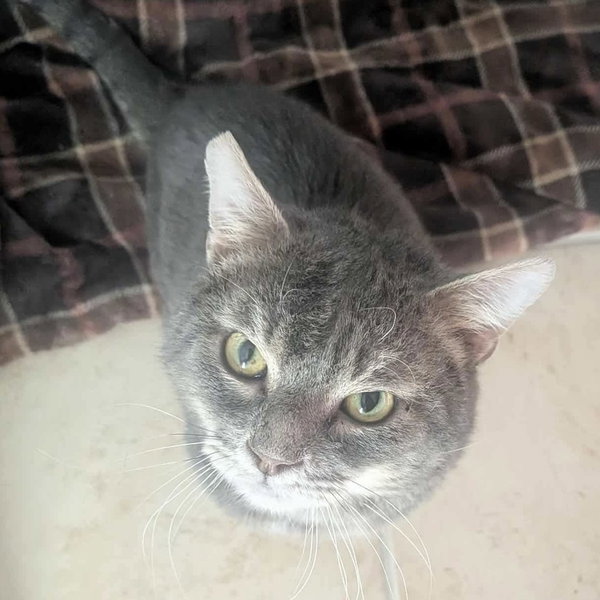 Bob (aka Bobby)