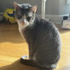 Tino T - Photo 2