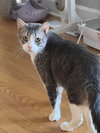 Tino T - Photo 3