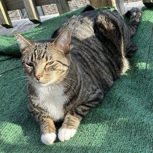 Photo 3 of Davonte (Vaughn)