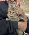 Custard (Sova) - Photo 3
