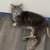 Finn - Photo 3