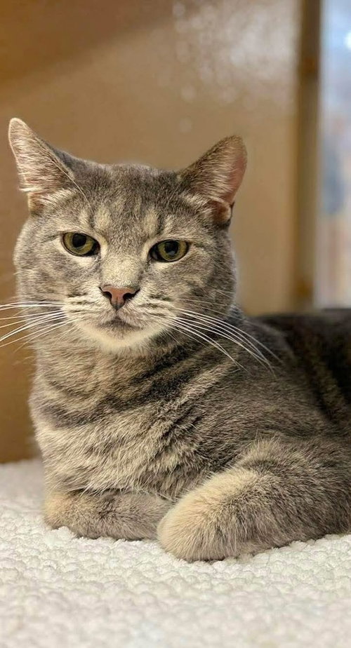 Photo 2 of Finn