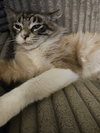 Ziggy - Photo 2
