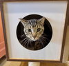 Dax - Photo 4