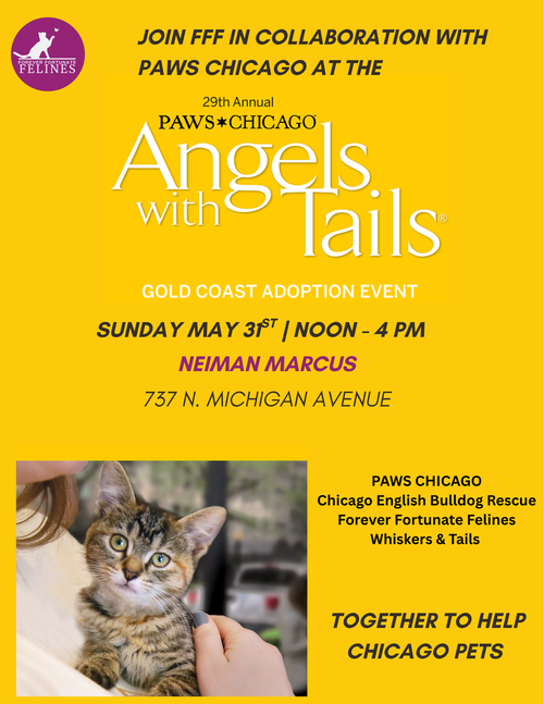 AAA ADOPTION EVENT Angels with Tails