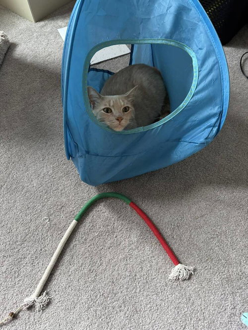 Sam