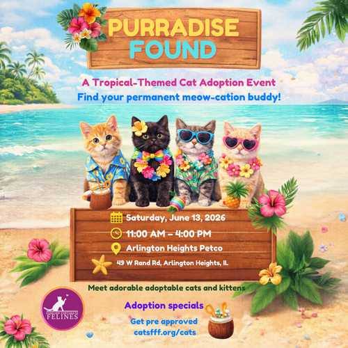 AAA ADOPTION EVENT PETCO ARLINGTON HEIGHTS