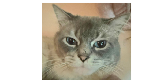 Milo