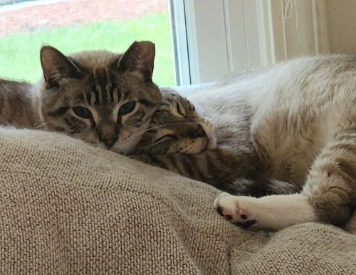 Casper photo 2