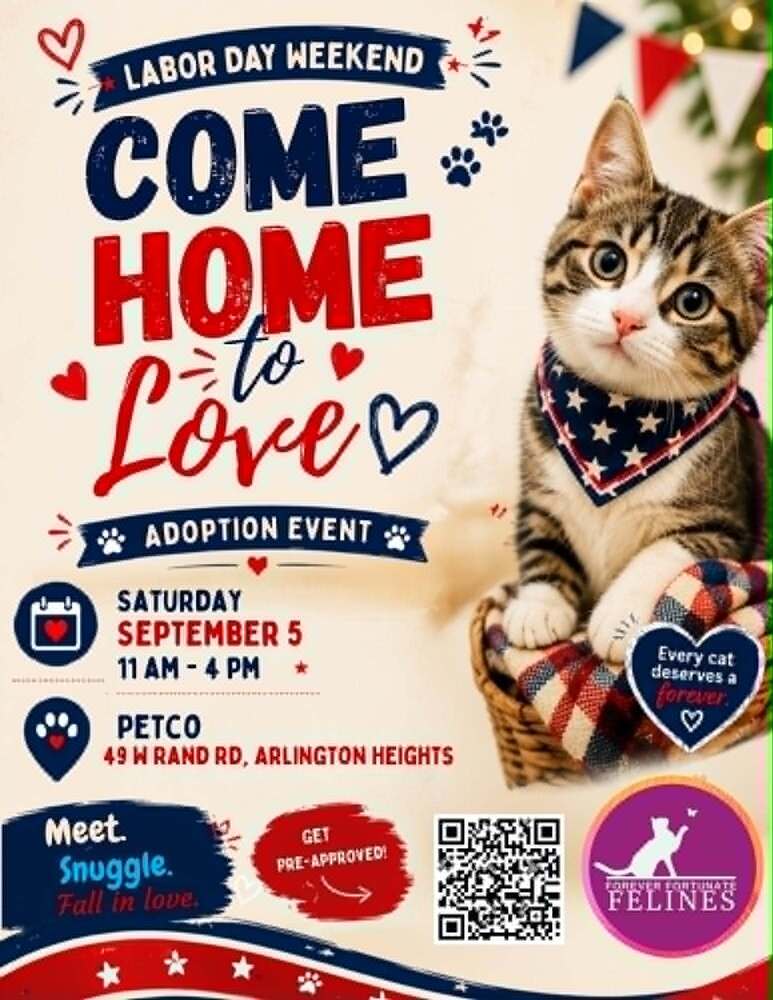 Aaa Adoption Event Petco Arlington Heights