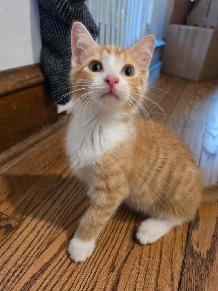 Rory