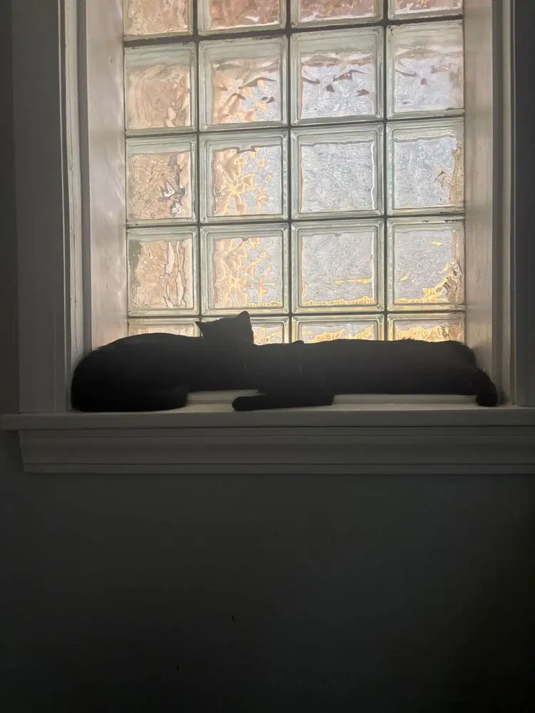 Wave image 3