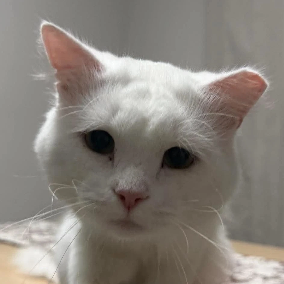 Casper