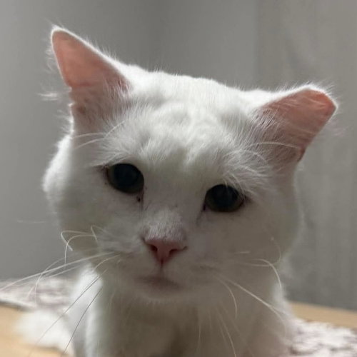 Photo 3 of Casper