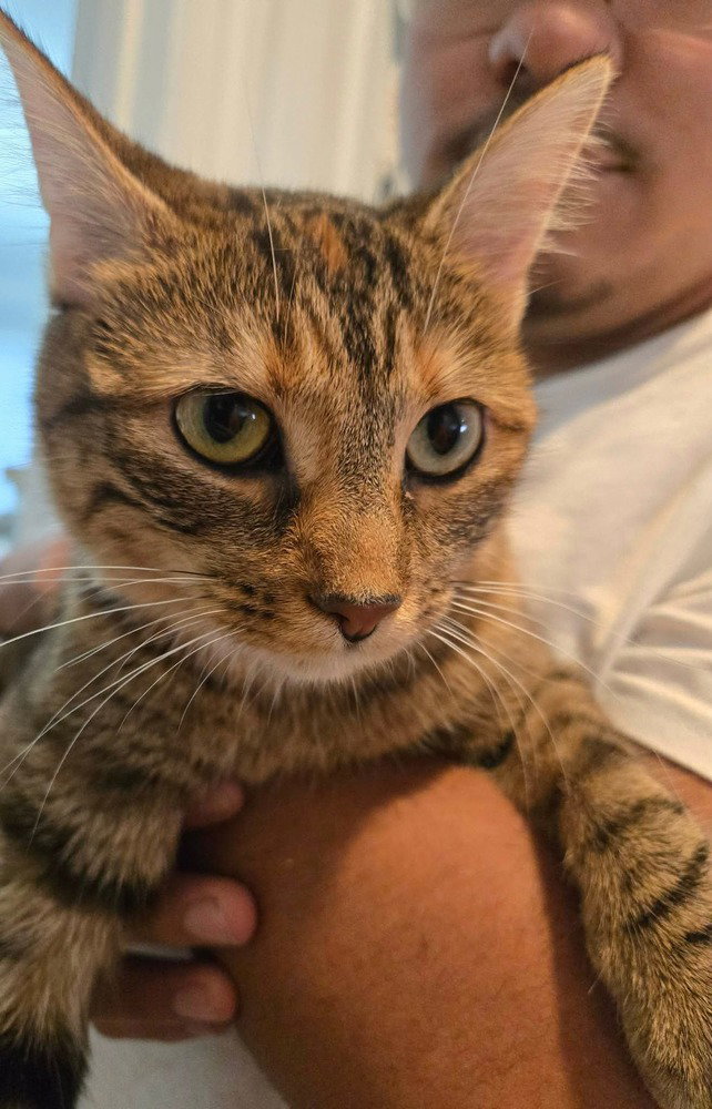 Sienna