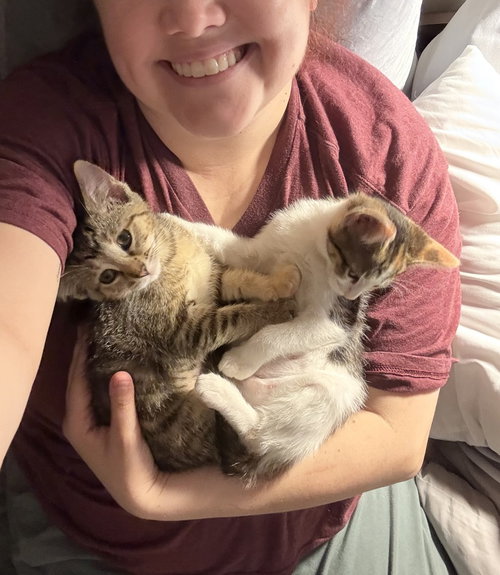 Photo 4 of Bacon