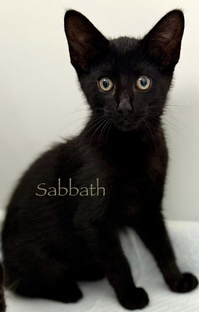 Sabbath