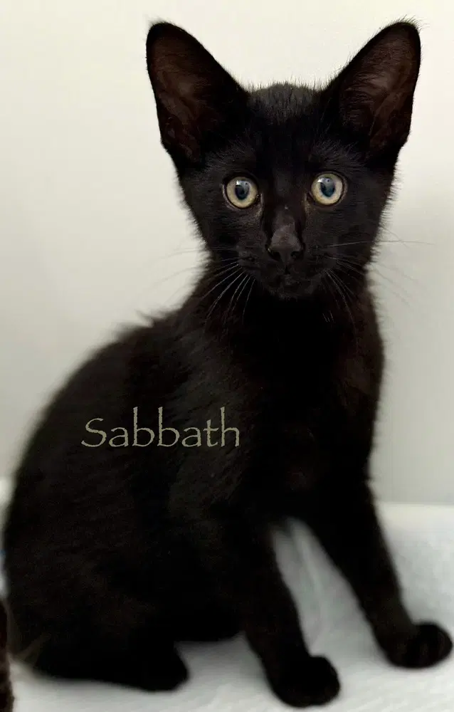 Sabbath image 1