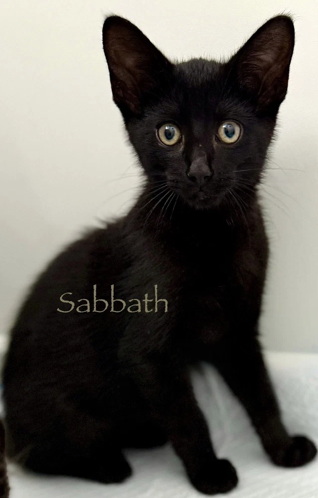 Sabbath