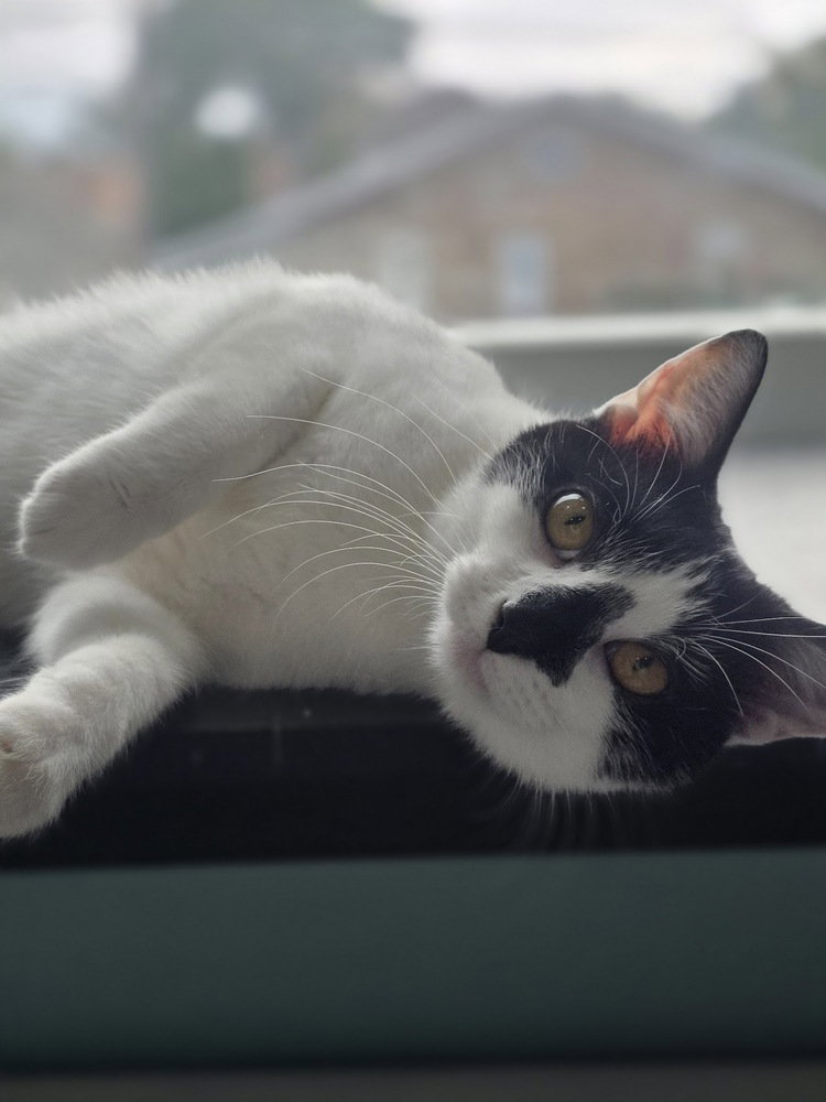 Windy, photo 2