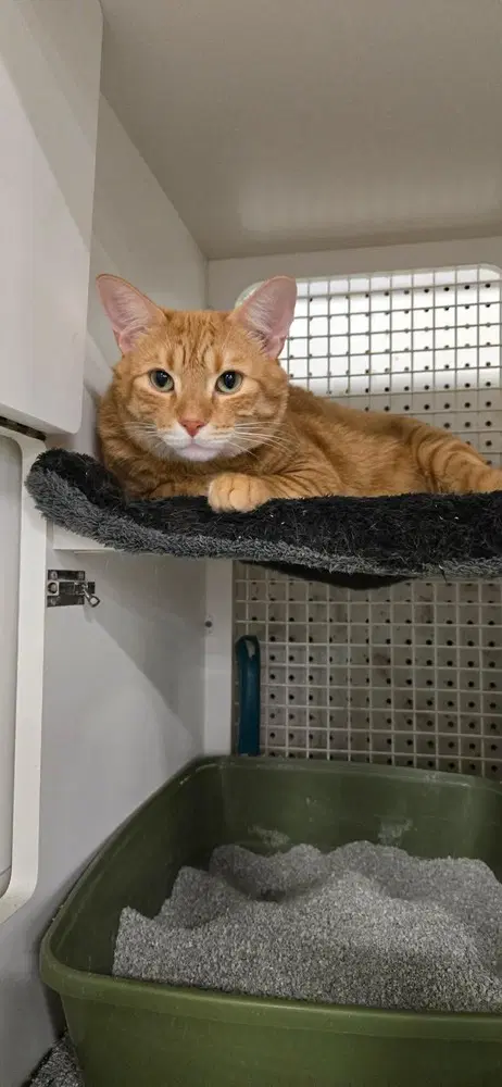 Coffee image 4