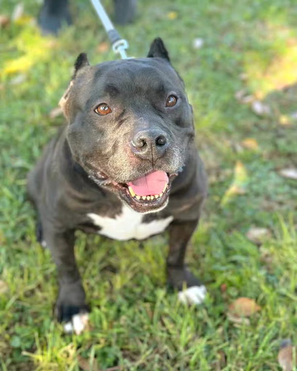 Om (formerly King Obie)
