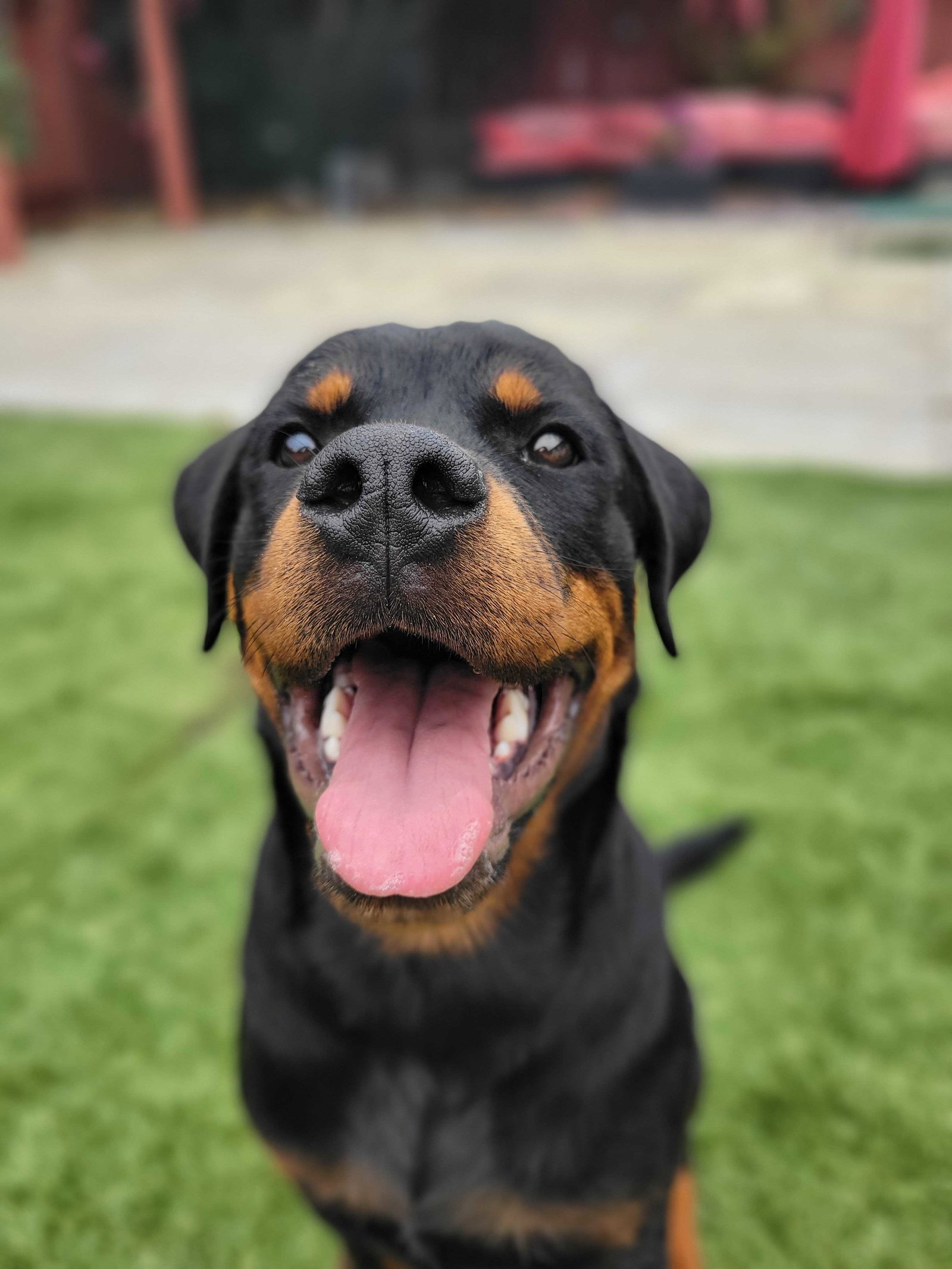 Yukon