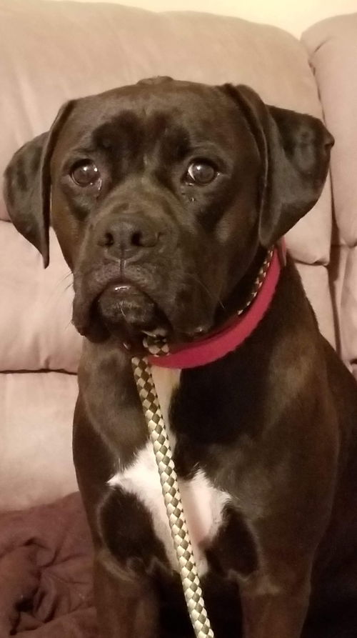 Brenda