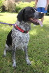 Cooper