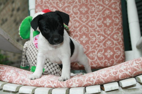Skye