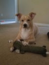 Buffy