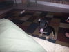 Otto **courtesy post**