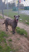 Boudreaux