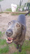 Boudreaux
