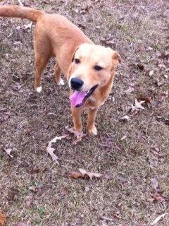 JETT - Courtesy Post