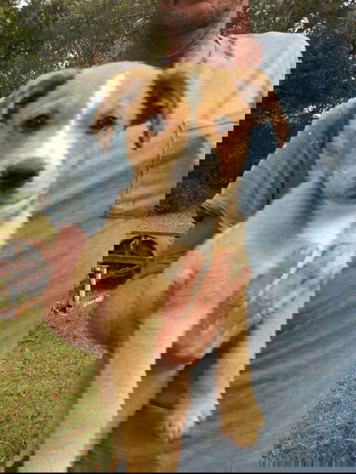 Bob