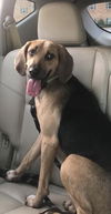 Skye