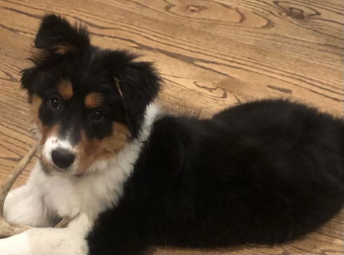 Stormie