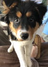 Stormie