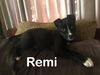 Remi