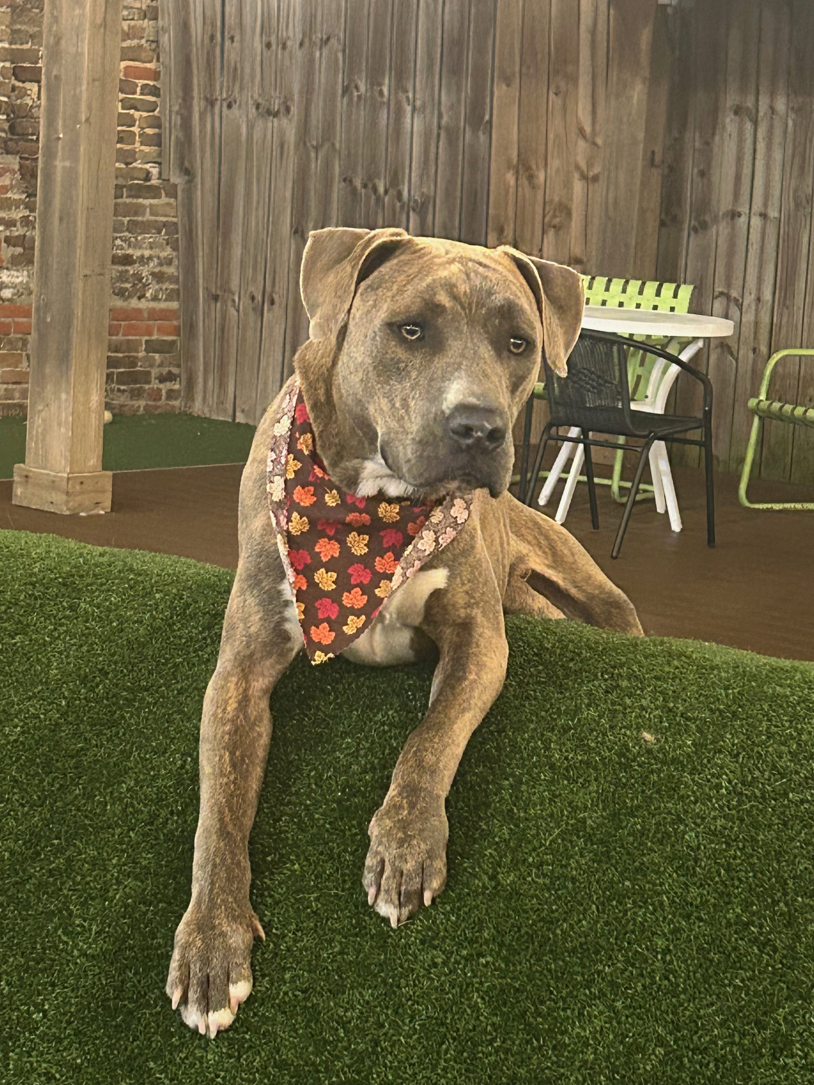 Roscoe