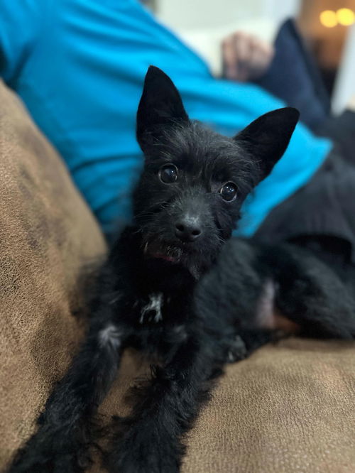 Gus