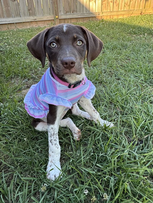 Penny