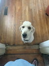 Billy