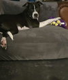 Jax - Photo 2
