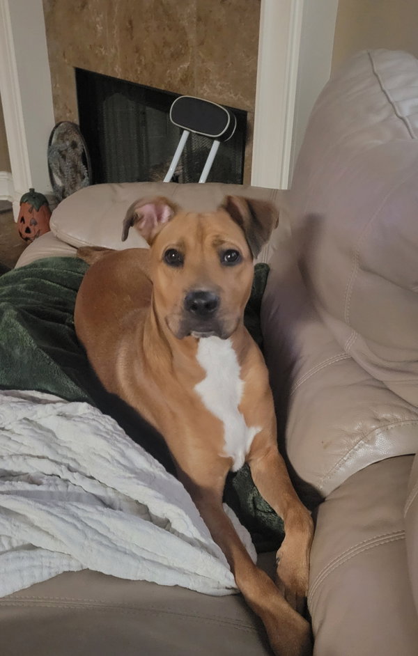 Milo