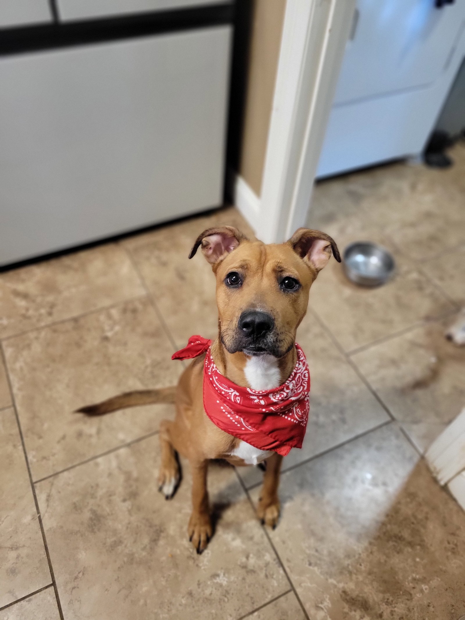 Milo